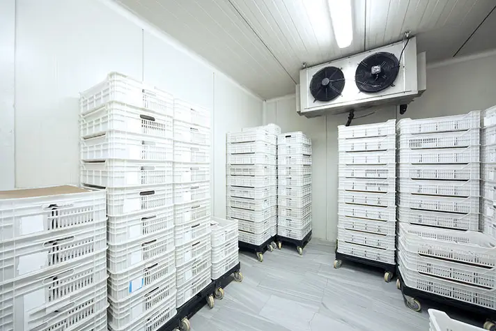 Temperature-Controlled Warehousing
