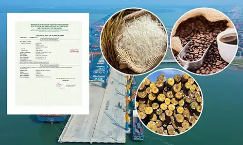 fumigation-certificate