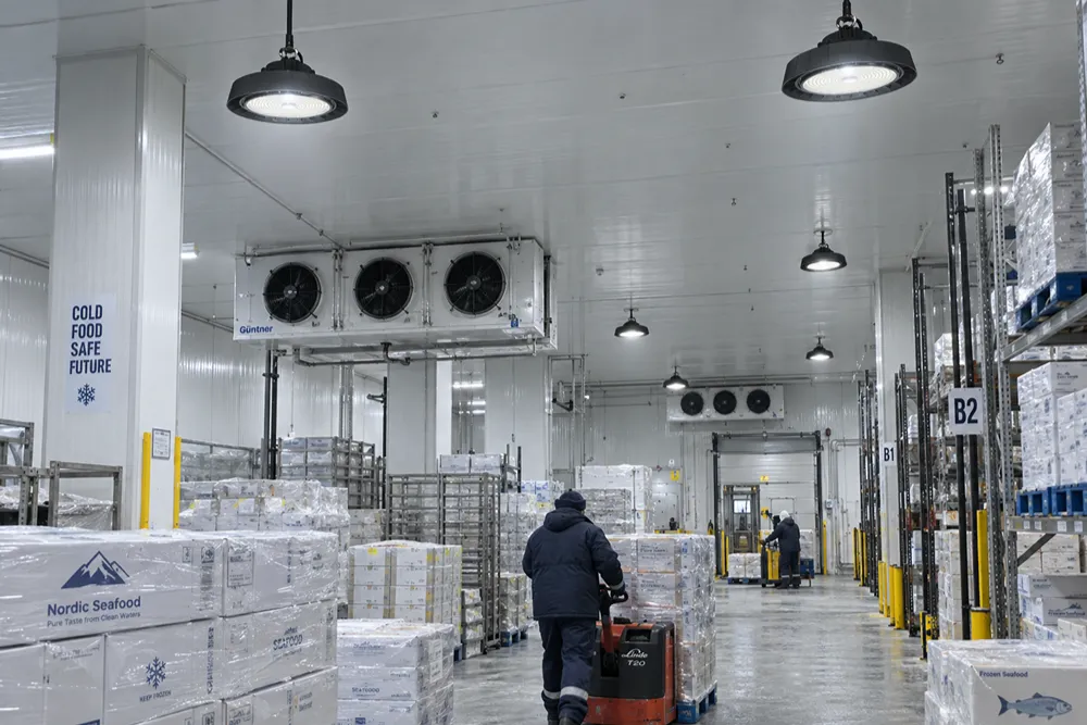 Cold-Resistant High Bay Lights for Freezer Facilities