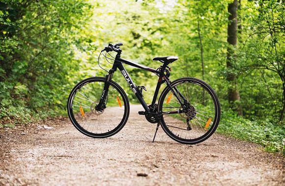 Bicycle Chains