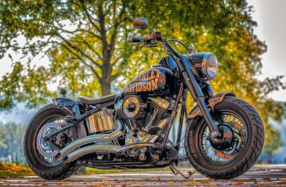 Motorbike Chains