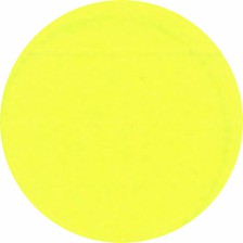 10004 3