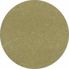 10005 2