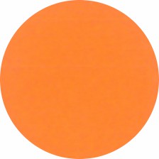 10005 3
