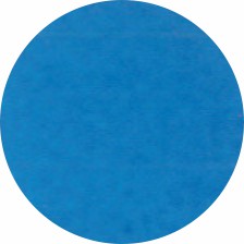 10006 3