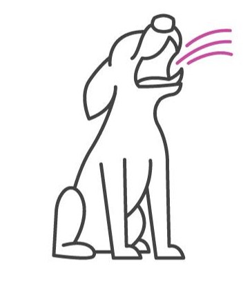 Dog breathing