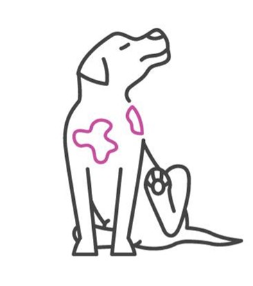 Stain on dog fur